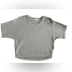 Aritzia Babaton Light Gray Open-Knit Crop Top